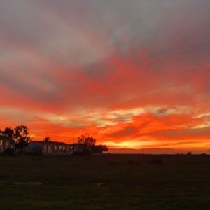 Meet your Posher, Amor